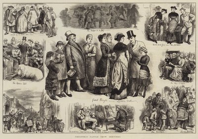 Christmas Cattle Show Sketches by Harry Furniss